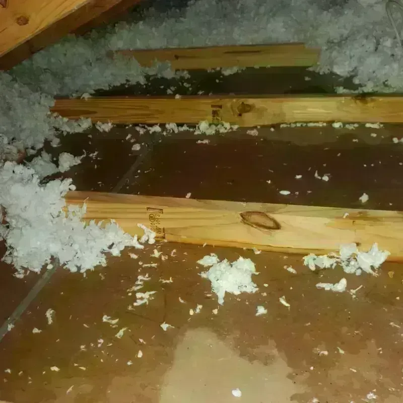 Attic Water Damage in Enosburg Falls, VT